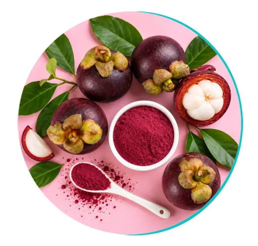 Mangosteen fruit and mangosteen powder